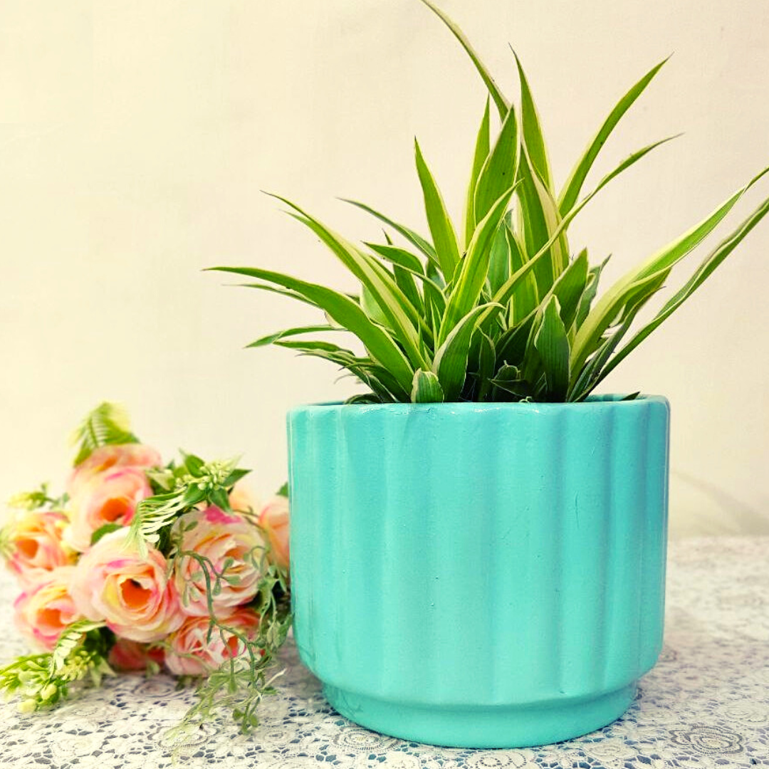 Homefrills ceramic line design Seafoam Green colour pot for Indoor & Outdoor Home, Garden, Office Decor, Balcony Planters Pot Gamla Pot Size: 16 cm wide & 13 cm high